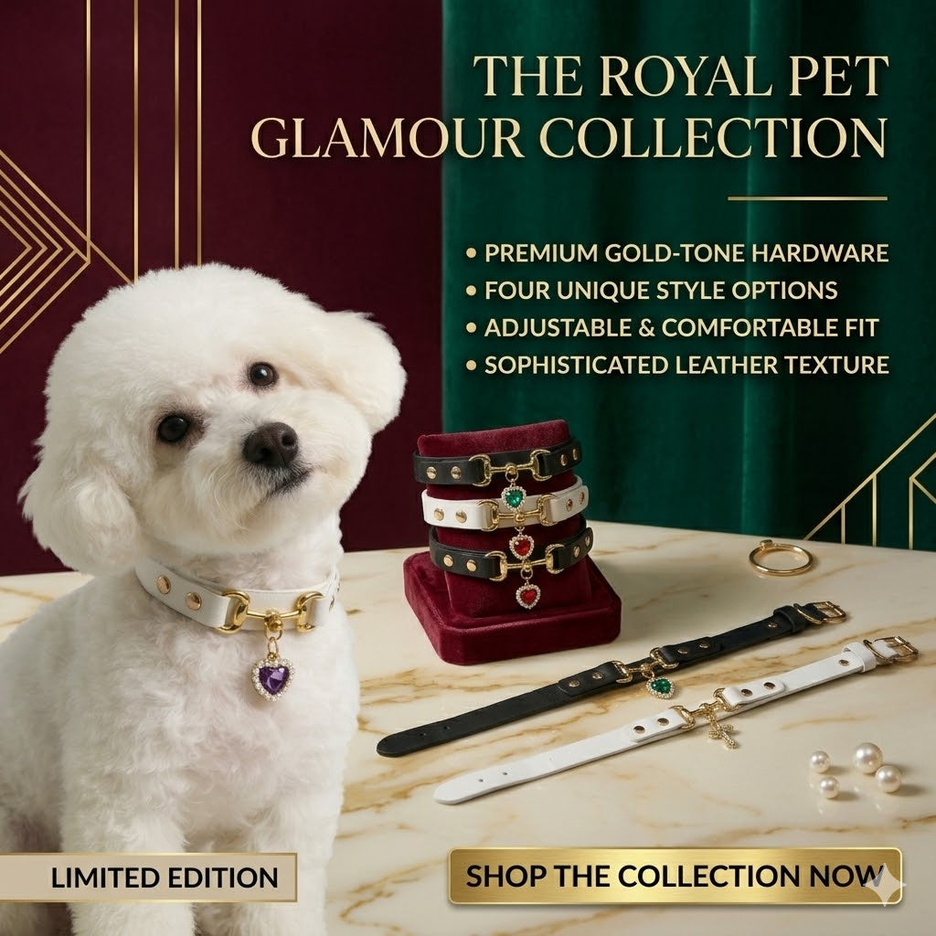 💖MCOIKY® CharmPaw Pet Collar