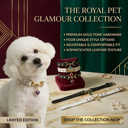 💖MCOIKY® CharmPaw Pet Collar