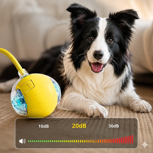 🐶 MCOIKY® Smart Interactive Dog Ball